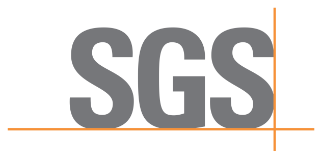 SGS INTRON